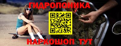 прущие крисы Ставрополь