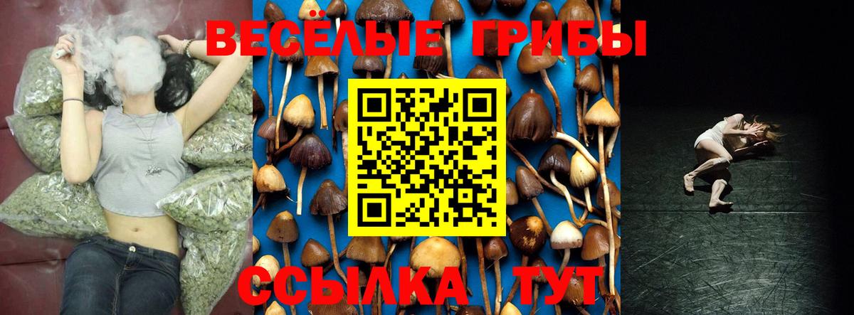 Наро-Фоминск  Галлюциногенные грибы Psilocybine cubensis  Вход с VPN 