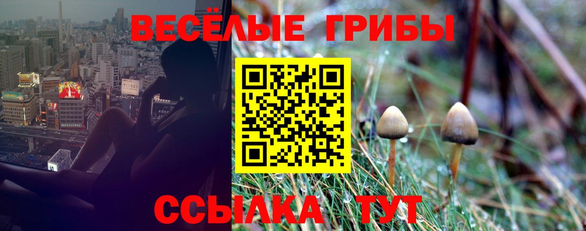 Псилоцибиновые грибы мицелий Наро-Фоминск